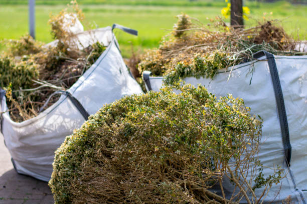 Best Junk Removal and Recycling  in Campbell, MO